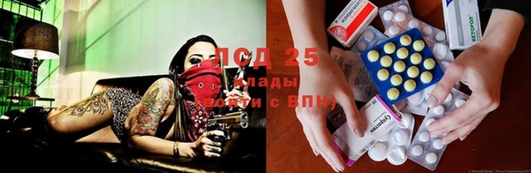 дурь Инсар