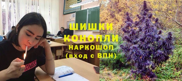 дурь Инсар