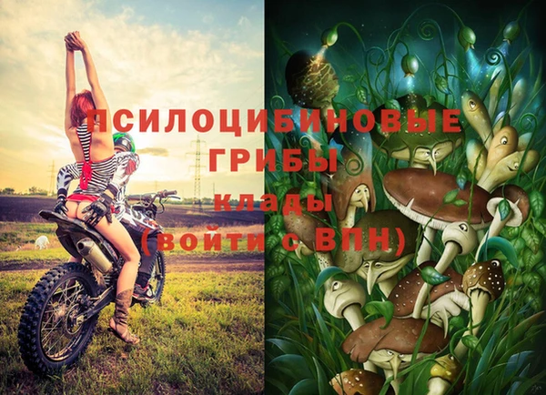 дурь Инсар