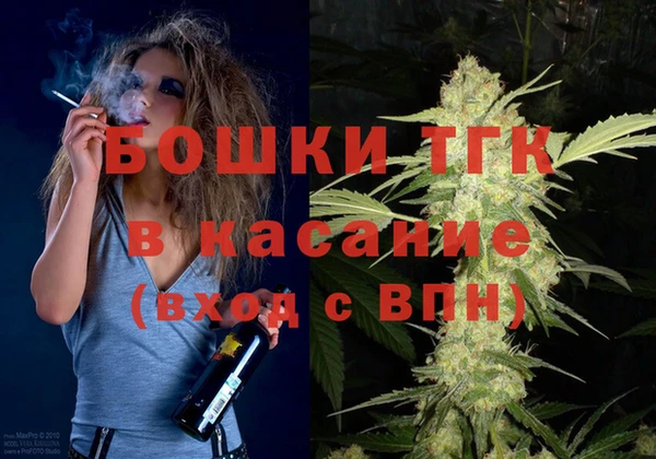 дурь Инсар