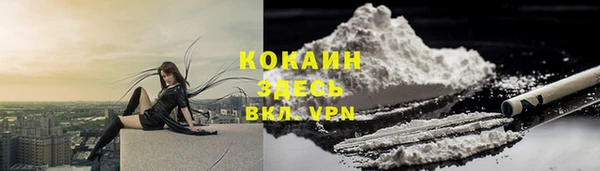 дурь Инсар