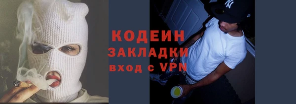 дурь Инсар