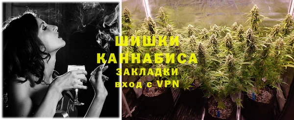дурь Инсар