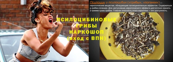 дурь Инсар