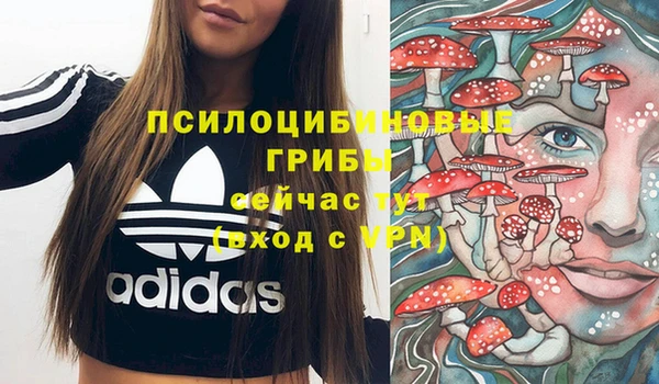 дурь Инсар