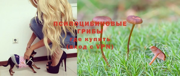 таблы Инта